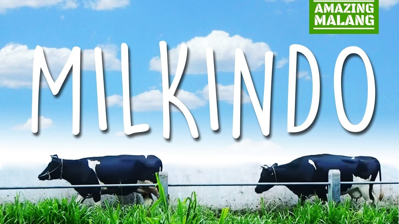 Wisata Edukasi Milkindo