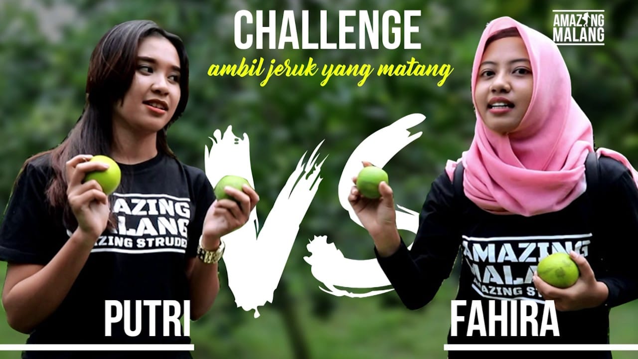 Makan Jeruk Sepuasnya di Wisata Petik Jeruk Dau Malang Jawa Timur
