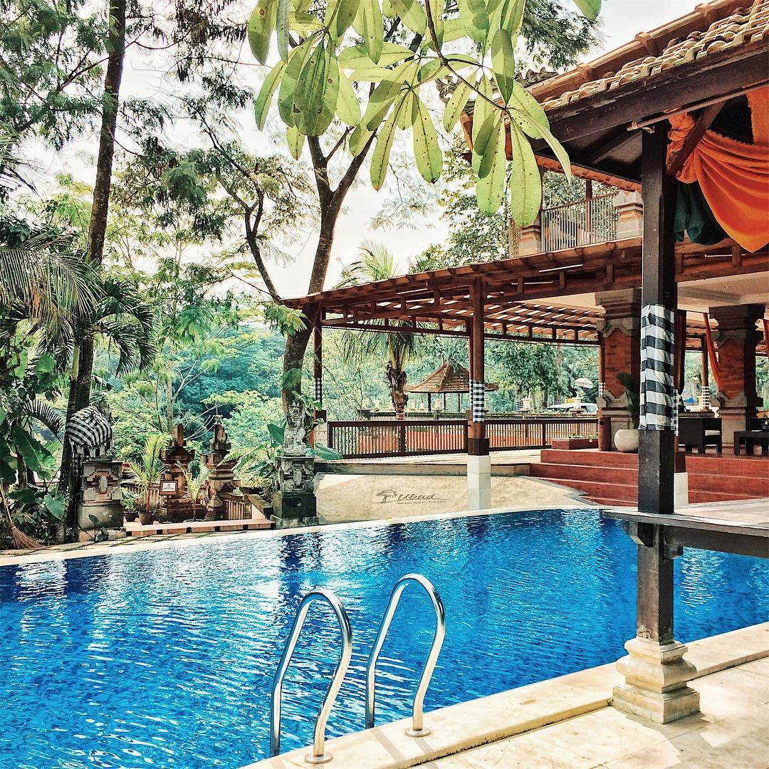 9 Hotel Dengan Kolam Renang Umum Di Malang Raya