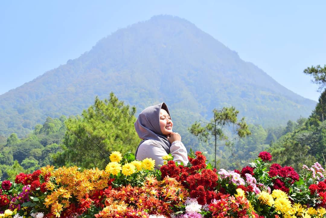 5 Taman Bunga Instagenik Di Malang Raya