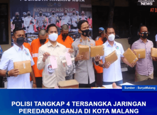 POLISI TANGKAP 4 TERSANGKA JARINGAN PEREDARAN GANJA DI KOTA MALANG
