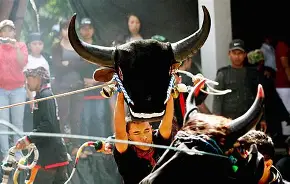 Edukasi Budaya Kota Batu Bangkitkan Tradisi Lewat Bantengan Bocil