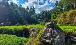 Menarik! Poncokusumo jadi Kabupaten yang juga Punya banyak Wisata