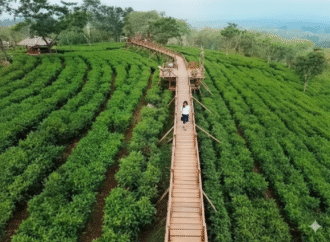 Liburan Asri di Malang Raya, Menikmati Panorama Kebun Teh