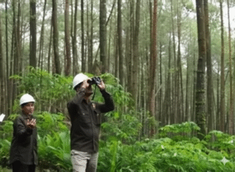 Keren! UB Forest jadi Pusat Pengelolaan Hutan Pendidikan dan Perdagangan
