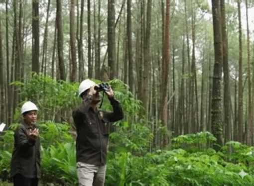 Keren! UB Forest jadi Pusat Pengelolaan Hutan Pendidikan dan Perdagangan