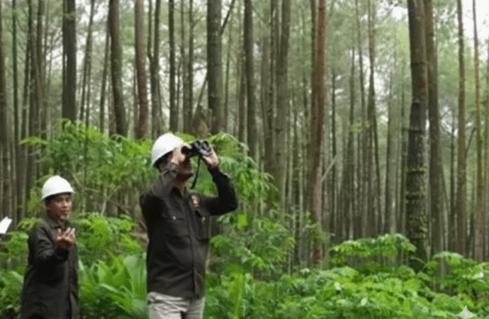 Keren! UB Forest jadi Pusat Pengelolaan Hutan Pendidikan dan Perdagangan