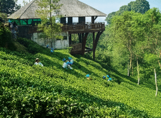 Pecinta Flora Wajib Cek, Kunjungi Rekomendasi Agrowisata Pilihan di Malang