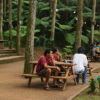 Berkunjung ke Wisata Alas Pakis Malang, Bisa Camp dan Ngafe Juga !