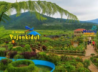 Healing sebentar dari Kota dengan Menikmati indahnya Alam Pujon
